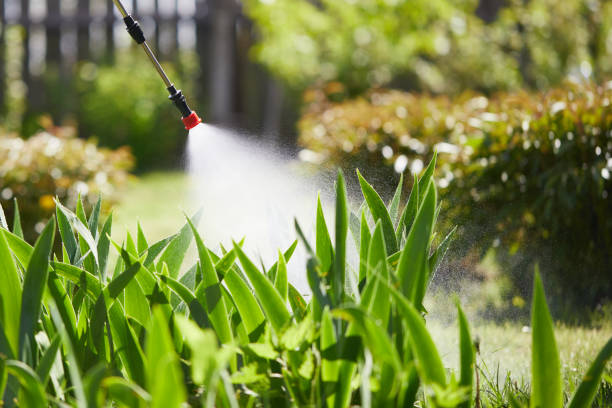 24/7 Emergency Ant Control experts in Franklinville, NC