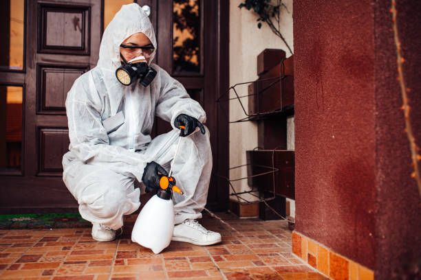 Reliable Ant Control contractor in Franklinville, NC by Nex Pest Control