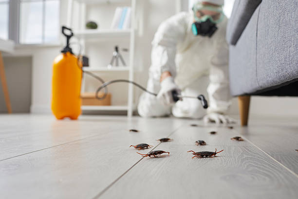 Trusted Termite Control service in Franklinville, NC - Nex Pest Control